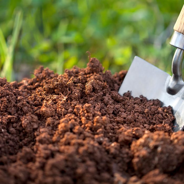 Soil Nutrient Testing Jabba Engineering Ltd